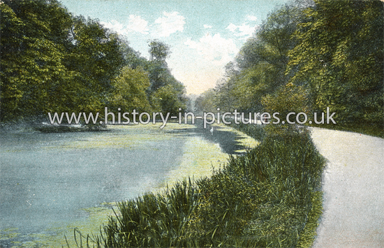 The Heronary Lake, Wanstead Park, London. c.1908